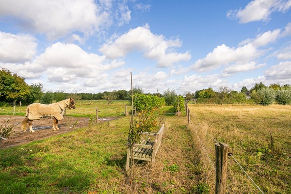 Medium property photo - Ewijkseweg 4, 6611 AG Overasselt